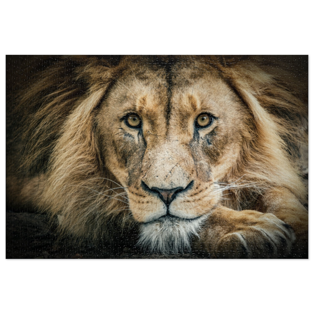 Lion Jigsaw Puzzle (1000-Piece)