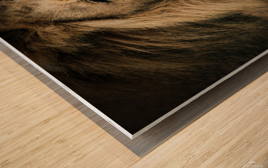 Wood Print