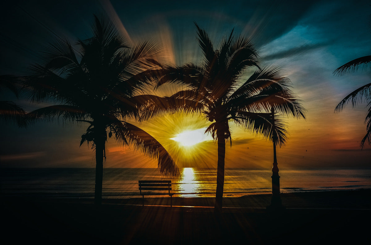 Tropical Sunset