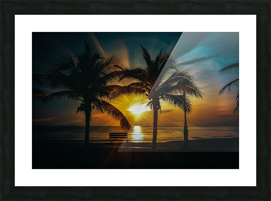 Framed Print