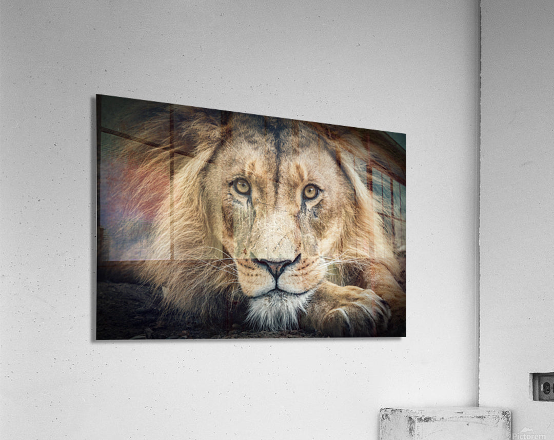 Acrylic Print