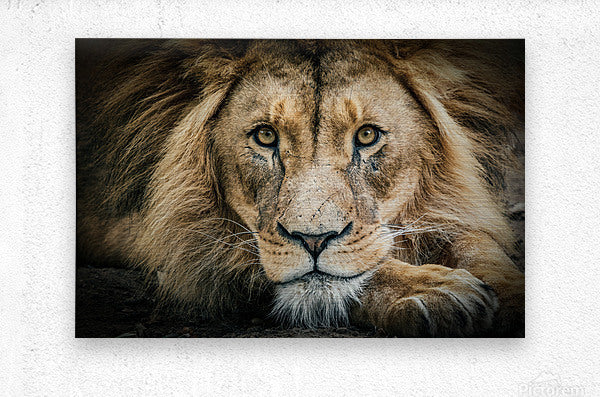 Brushed Metal Print