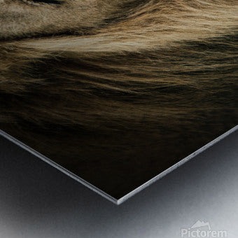 Brushed Metal Print